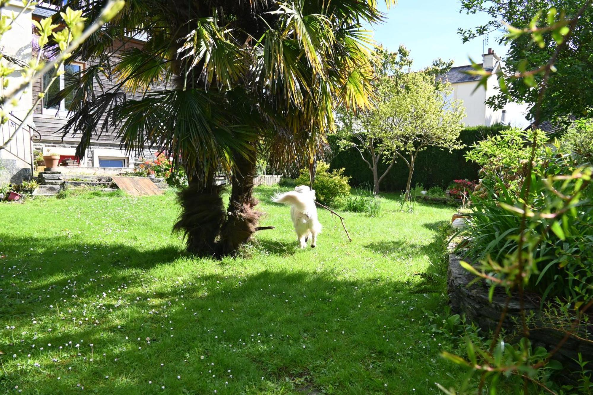 Jardin Madeleine Daire Morlaix Dış mekan fotoğraf